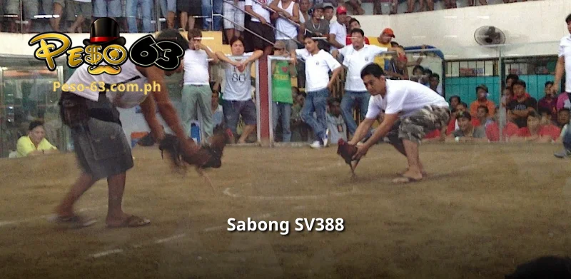 Sabong SV388